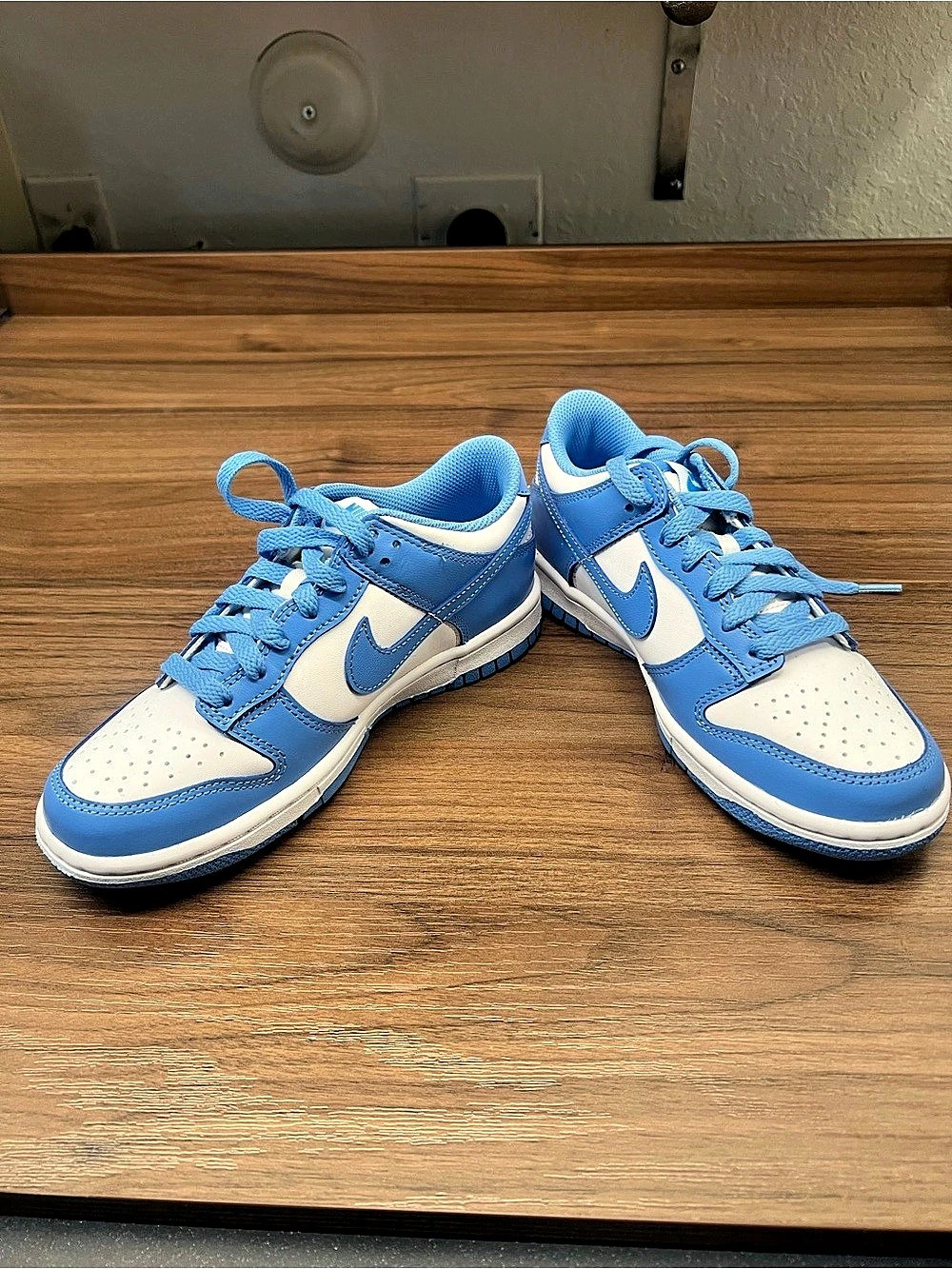 Nike Dunk Low UNC Blue Kids Sneakers Blue & White Boys US 3.5Y